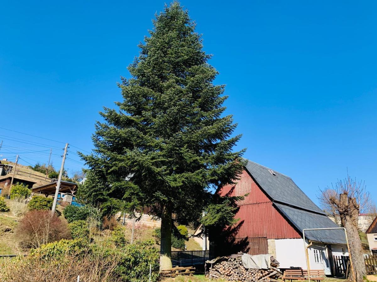 Naturhof Kluge Saupsdorf Luaran gambar