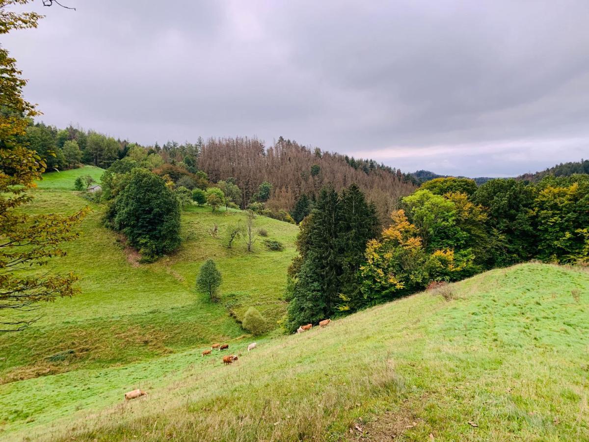 Naturhof Kluge Saupsdorf Luaran gambar