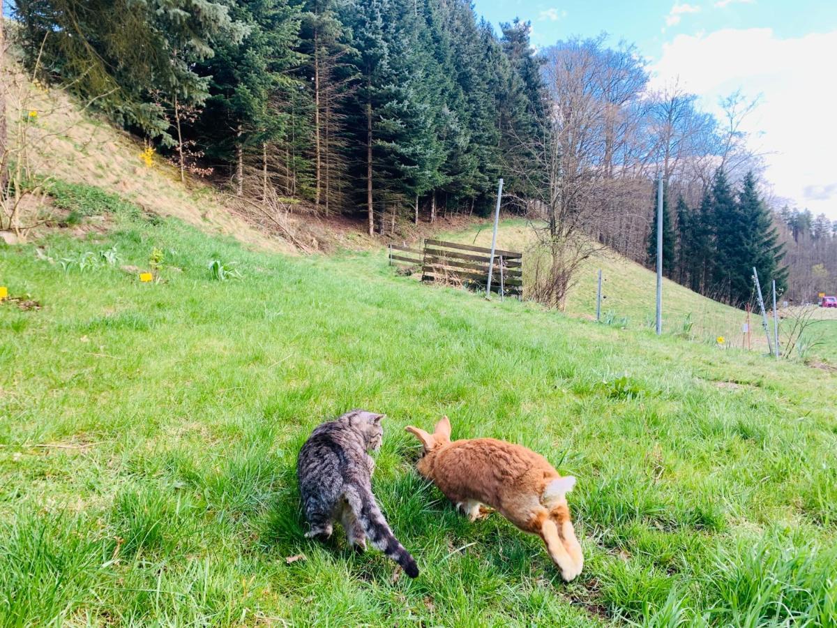 Naturhof Kluge Saupsdorf Luaran gambar