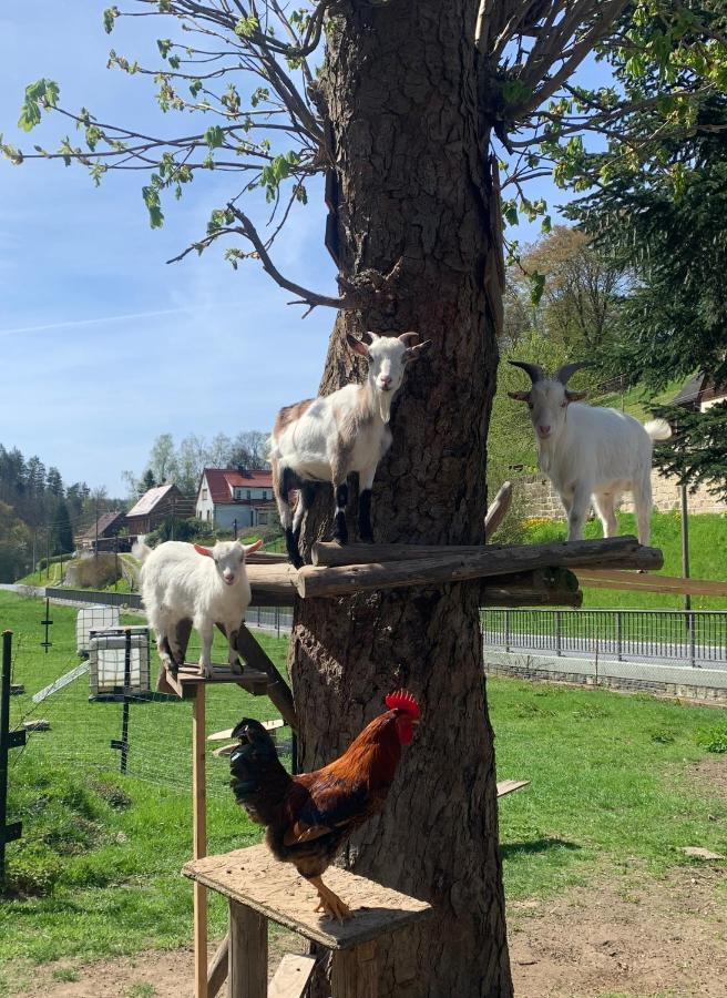 Naturhof Kluge Saupsdorf Luaran gambar